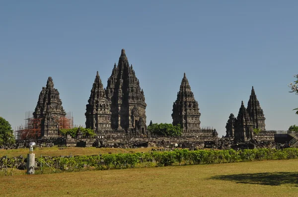 Tempio di Prambanan, Giava, Indonesia Fotografia Stock