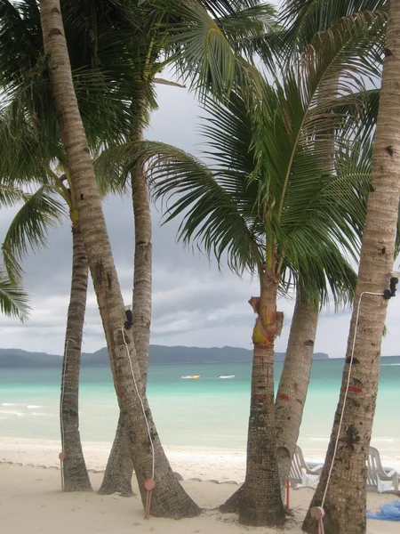 Spiaggia di Boracay con palme Fotografia Stock