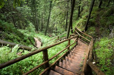 Stairs to the cave clipart