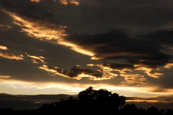 stock image Golden sunset