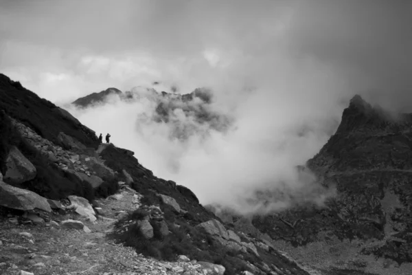 stock image Path on the hillside