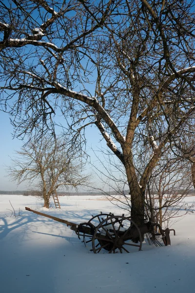 Winter orchard — Stock Photo, Image