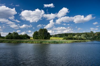 Countryside landscape by the river clipart