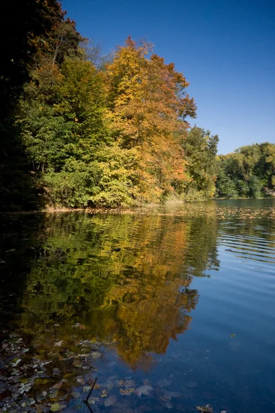 Reflection on the water in autumn — Stock Photo, Image