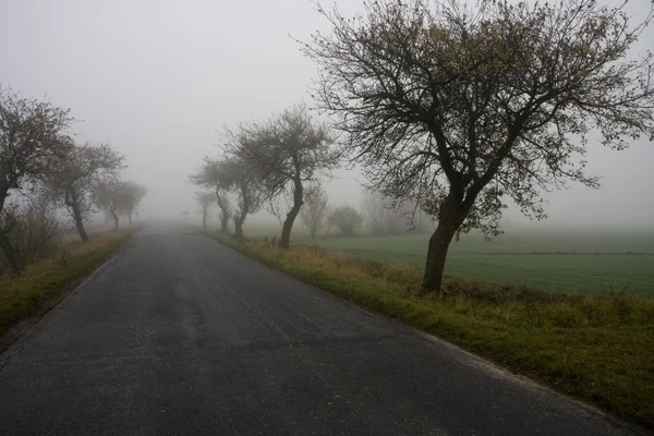 Niebla visibilidad restringida —  Fotos de Stock