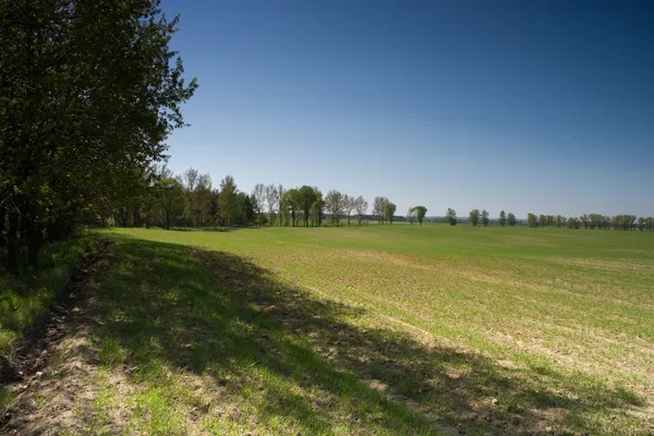 Countryside view — Stock Photo, Image