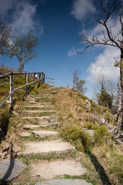 산 꼭대기에 계단 — 스톡 사진