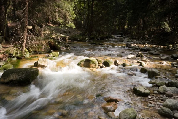 Stock image Creek