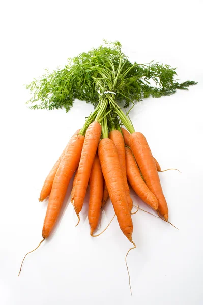 Touffe de carottes — Photo