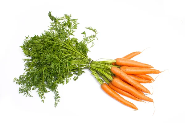 Пучок моркови — стоковое фото