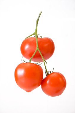 Bunch of Tomatoes clipart