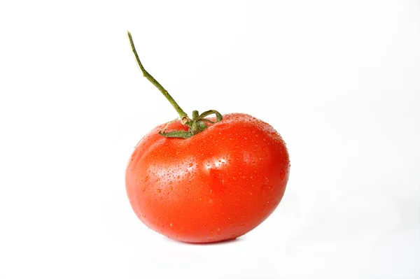 Gebadete Tomate — Stockfoto