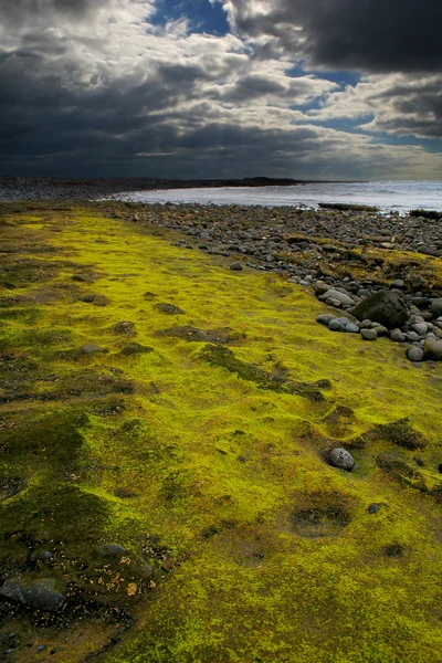 stock image Volcanic island coast