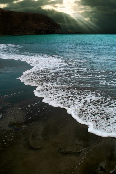 15,272 Sea moss Stock Photos | Free & Royalty-free Sea moss Images