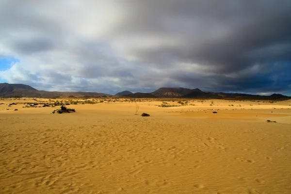 O silêncio do deserto — Fotografia de Stock