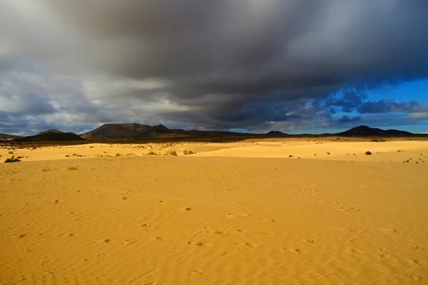Mlčení pouště — Stock fotografie