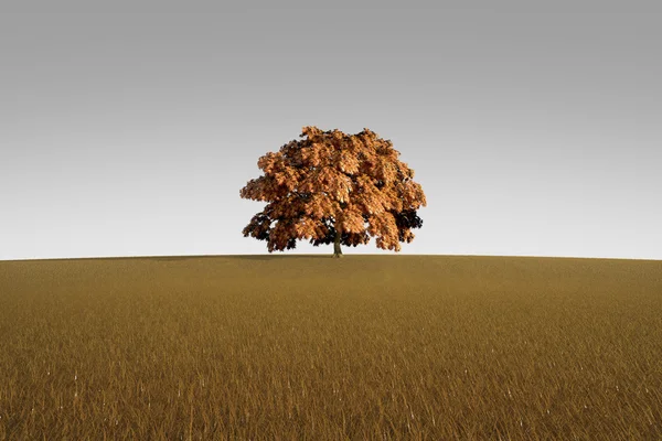 stock image Alone tree in autumn