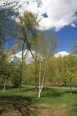 novodevichiy Manastırı Parkı