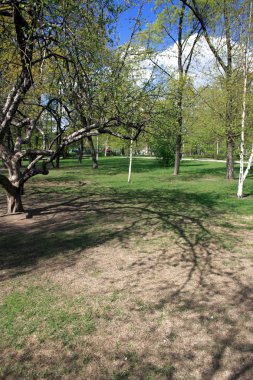 novodevichiy Manastırı Parkı