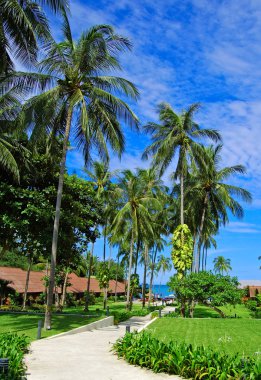 Koh samui tapınağın