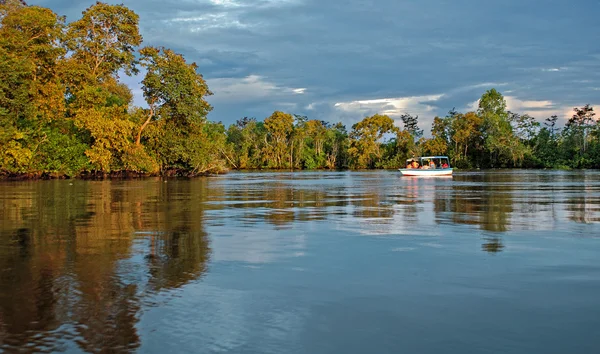 Borneo Nehri