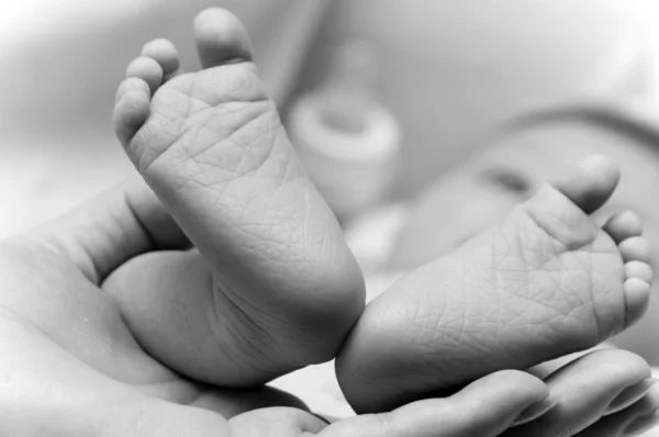 stock image Little baby foot