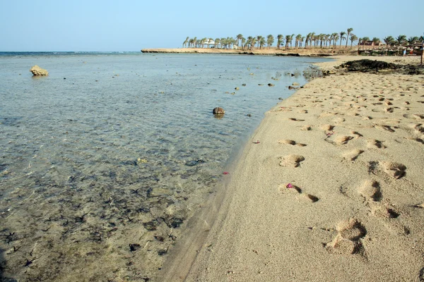 Playa de Egipto —  Fotos de Stock