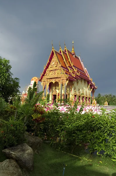 Tempio di Koh Samui — Foto Stock