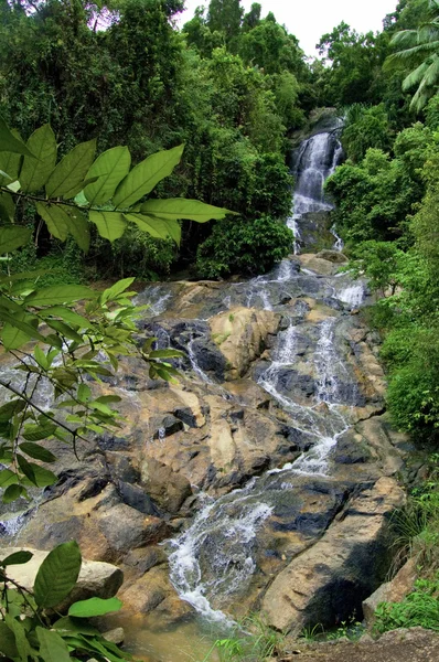 Samui waterfall — Stock Photo, Image