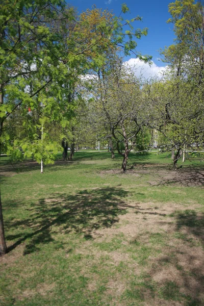 Novodevichiy 修道院公园 — 图库照片