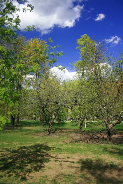Parco del monastero Novodevichiy — Foto Stock