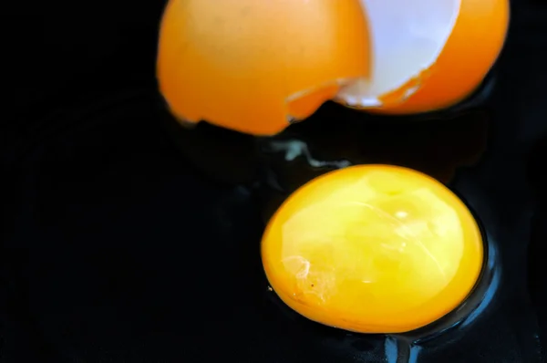 stock image Yolk