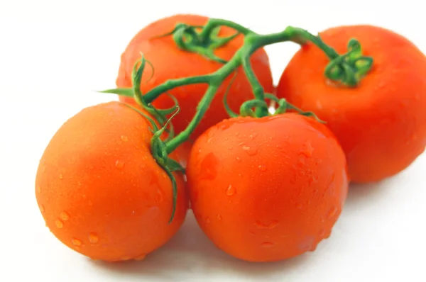 Tomates — Fotografia de Stock