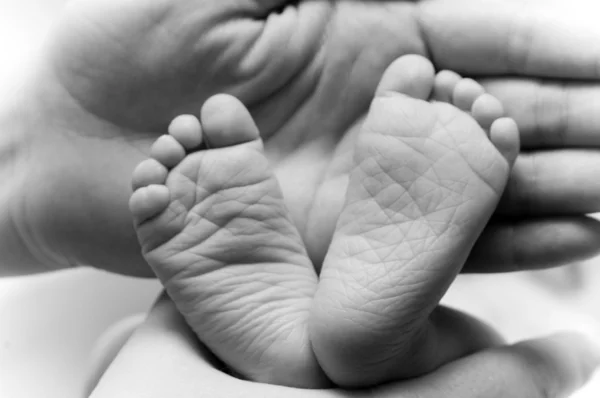 Kis baba lábát Stock Kép