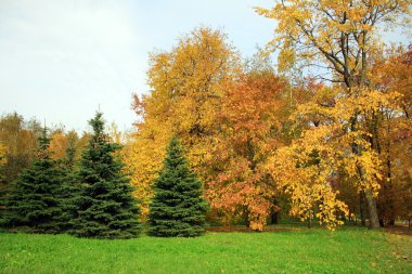 Sonbahar Parkı