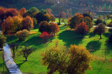 park'ın genel bakış