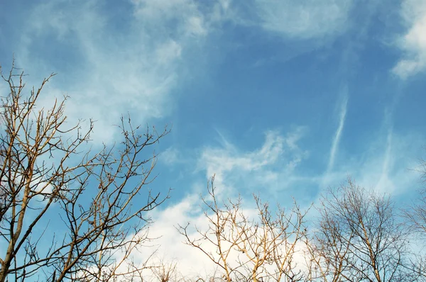 ・空の雲 — ストック写真