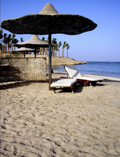 Egyiptom beach — Stock Fotó