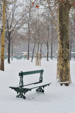 Paris 'te kar