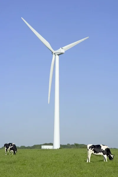Tuuliturbiini — kuvapankkivalokuva