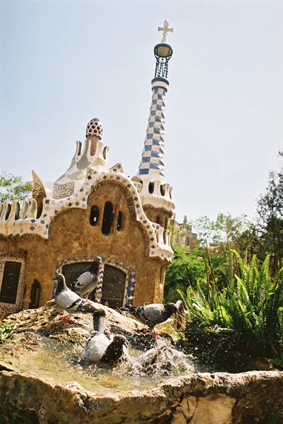 バルセロナのグエル公園の洗浄ピジョン — ストック写真