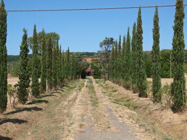 volterra Toskana yakın rustik yolu