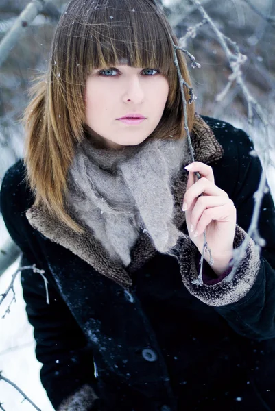 Portrait of the beautiful girl in winter — Stock Photo, Image