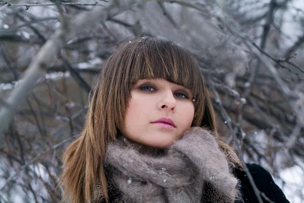 冬天公园里漂亮的姑娘 — 图库照片