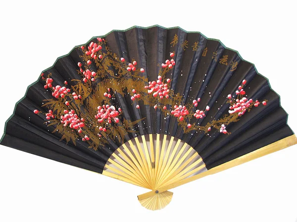Chinese fan on a white background — Stock Photo, Image
