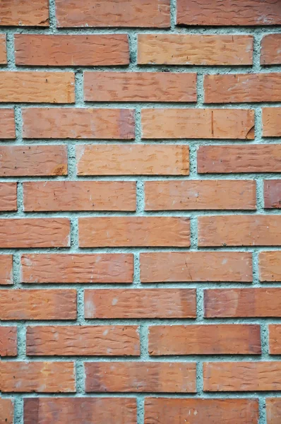 stock image Real brickwall