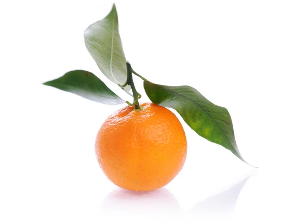 Mandarina fresca close-up isolado em um w — Fotografia de Stock