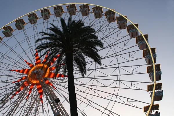 Giant wheel and palm tree — Stock Photo, Image