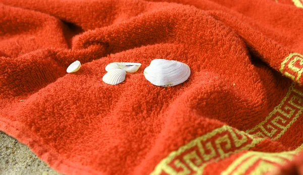 Toalha e conchas na praia — Fotografia de Stock