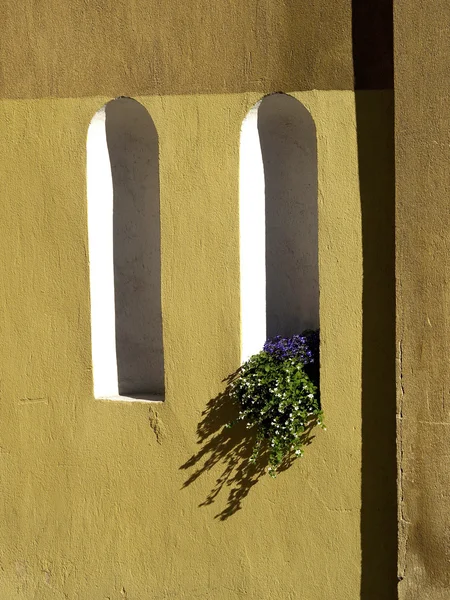 Стена с нишами и цветами — стоковое фото